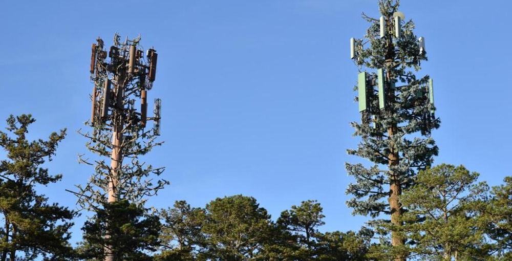 دکل‌ منوپل